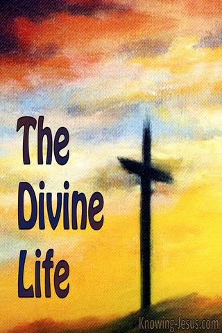 The Divine Life (devotional)10-03 (yellow)